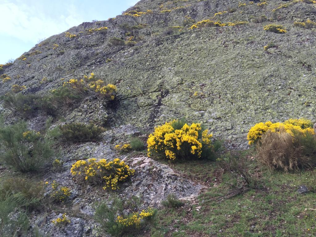 El Invernal De Picos Portilla de la Reina Exteriör bild