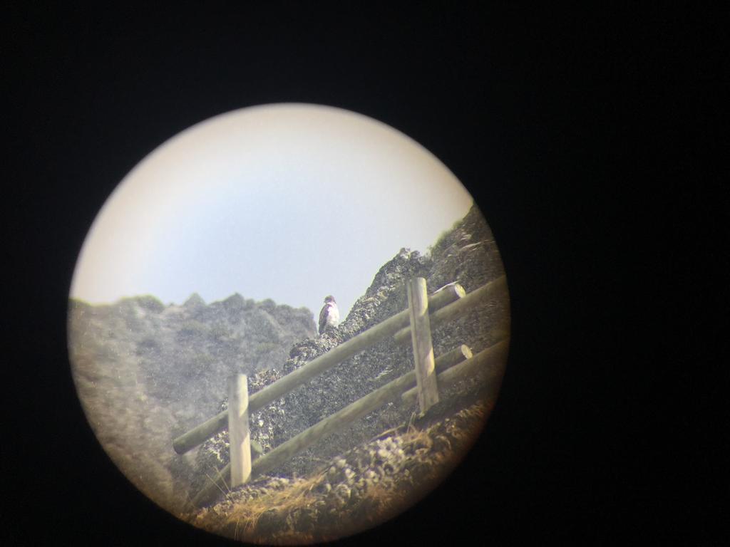 El Invernal De Picos Portilla de la Reina Exteriör bild
